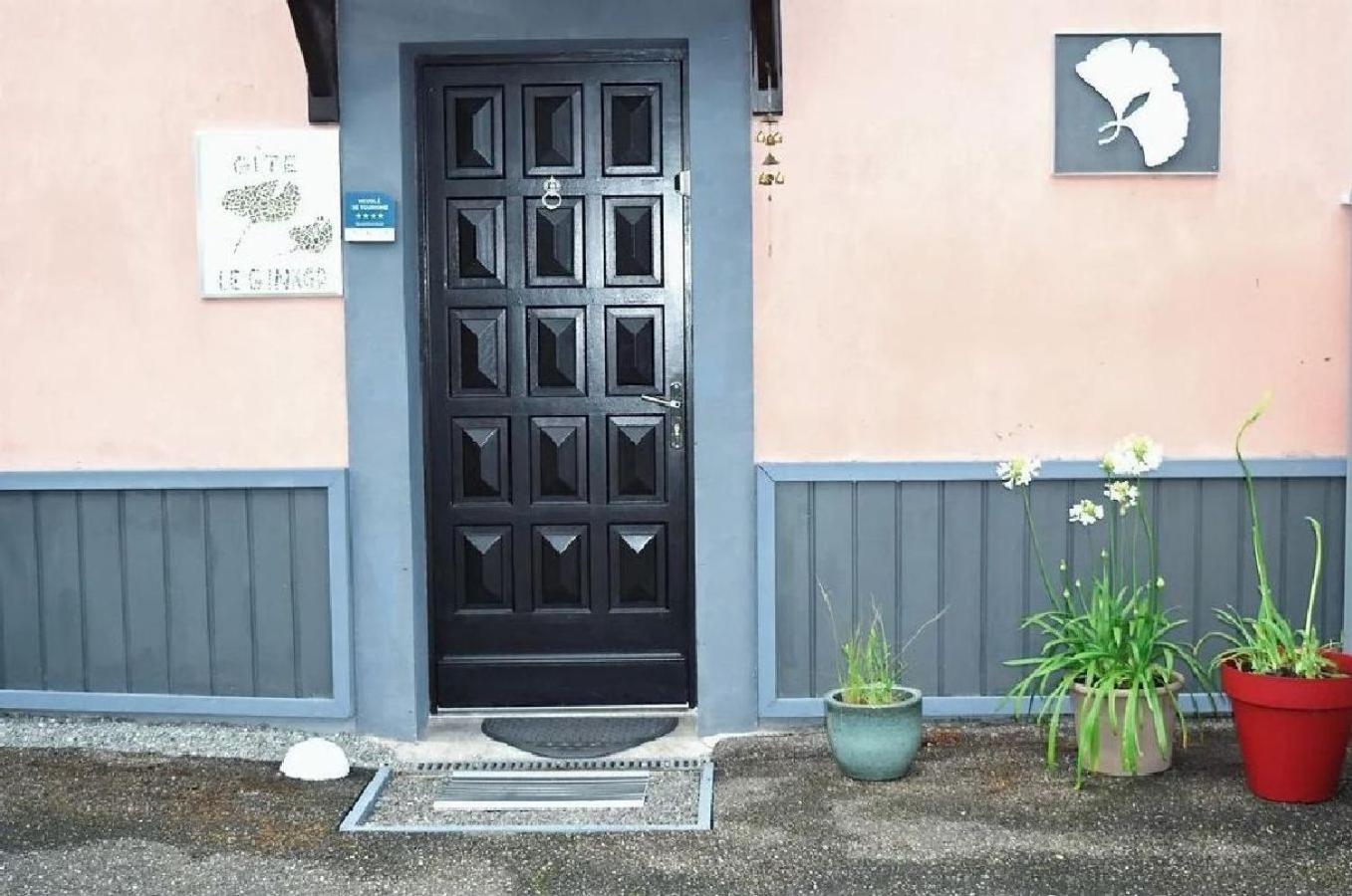 Gite le GINKGO 50 M2 Rougegoutte Exterior foto
